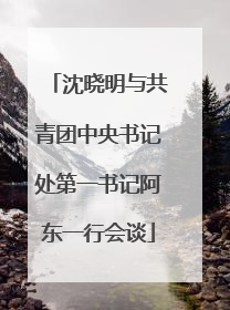 沈晓明与共青团中央书记处第一书记阿东一行会谈